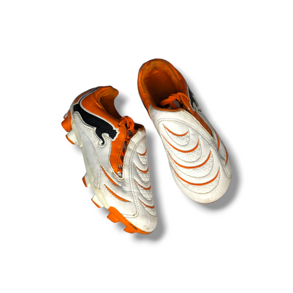 Puma Evo FG